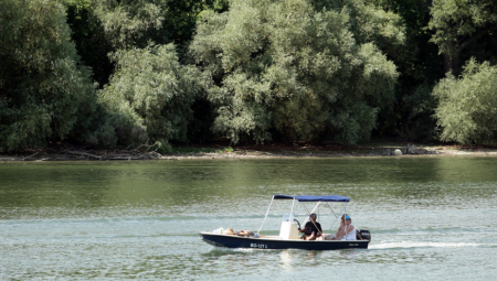IRITIRAJU NOS I OČI! U vazduhu registrovano 12 vrsti polena koji mogu da izazovu alergiju!
