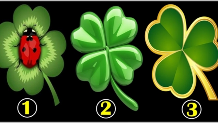 IZABERI SREĆNU DETELINU Jedna je znak novog, uspešnog početka