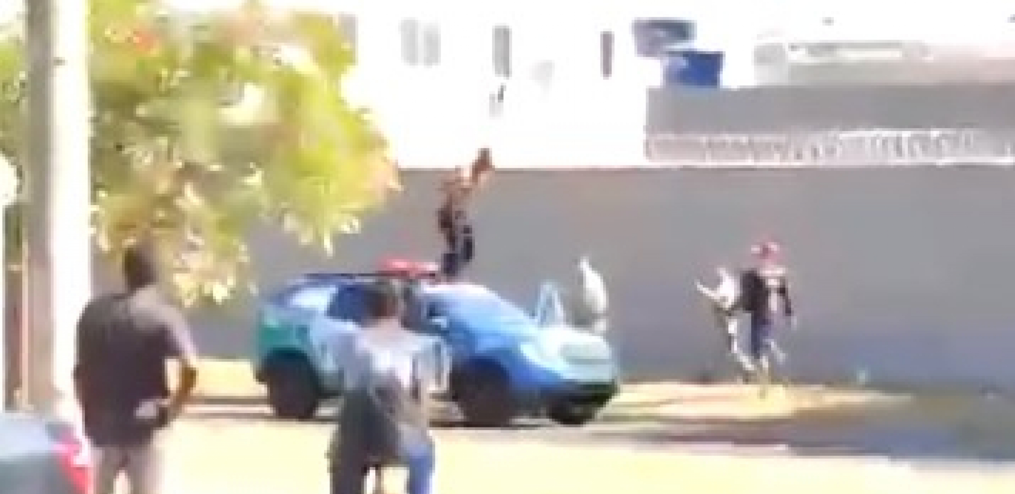 HOROR U BRAZILU! Dečak pucao na dve škole, ima mrtvih!