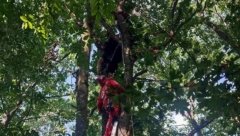 PARAGLAJDERISTA VISI SA DRVETA Drama se odigrala kod Svrljiga, reagovala policija (FOTO)