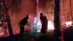 VATRENA STIHIJA KOD PREŠEVA STAVLJENA POD KONTROLU Pogledajte akciju gašenja požara (FOTO/VIDEO)