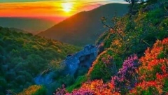 HOROSKOP ZA NEDELJU, 7. AVGUST Ovnovi imaju naklonost planeta , Device odlažu putovanje, početak ozbiljne veze za Škorpije