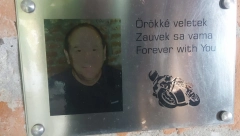 KADA UMREM MOJ PEPEO PROSPITE U GUČI Teško bolesnom bajkeru iz Mađarske ispunjena poslednja želja, priča o srpsko-mađarskom prijateljstvu obišla svet