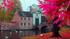 ZA ŠTA STE ROĐENI Krvna grupa otkriva koji je vaš karmički zadatak