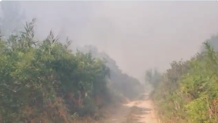 VELIKI POŽAR U NOVOM SADU Vatrena stihija u blizini rafinerije (VIDEO)