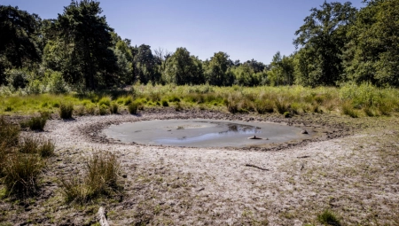ALARMANTNO! EVROPU POGAĐA NAJVEĆA SUŠA U POSLEDNJIH 500 GODINA Stručnjaci otkrivaju koliko će još trajati