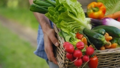 POVRTARI OVE GODINE "TRLJAJU RUKE" Otkrivamo koje povrće donose milionsku zaradu