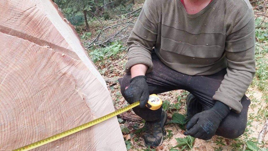 OVO SE DEŠAVA JEDNOM U STO GODINA Pogledajte neverovatan prirodni fenomen u Ivanjici (FOTO/VIDEO)