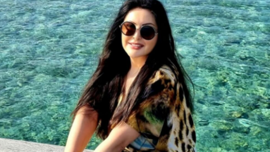 SKANDAL NA KONCERTU DRAGANE MIRKOVIĆ Mladić je uspeo da se popne na vrh konstrukcije bine, obezbeđenje odmah reagovalo (VIDEO)