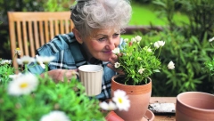 AROMA TERAPIJA ZA BOLJE RASPOLOŽENJE Depresivci slabije osećaju mirise