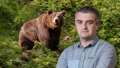 MONSTRUM OSEDEO PREKO NOĆI Sa 15 godina se Izgubio u šumi, preživeo napad medveda!