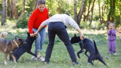 OŽILJAK ZA CEO ŽIVOT Dete (4) ima „noćne more“ nakon ujeda psa u parku, policija samo upozorila vlasnika