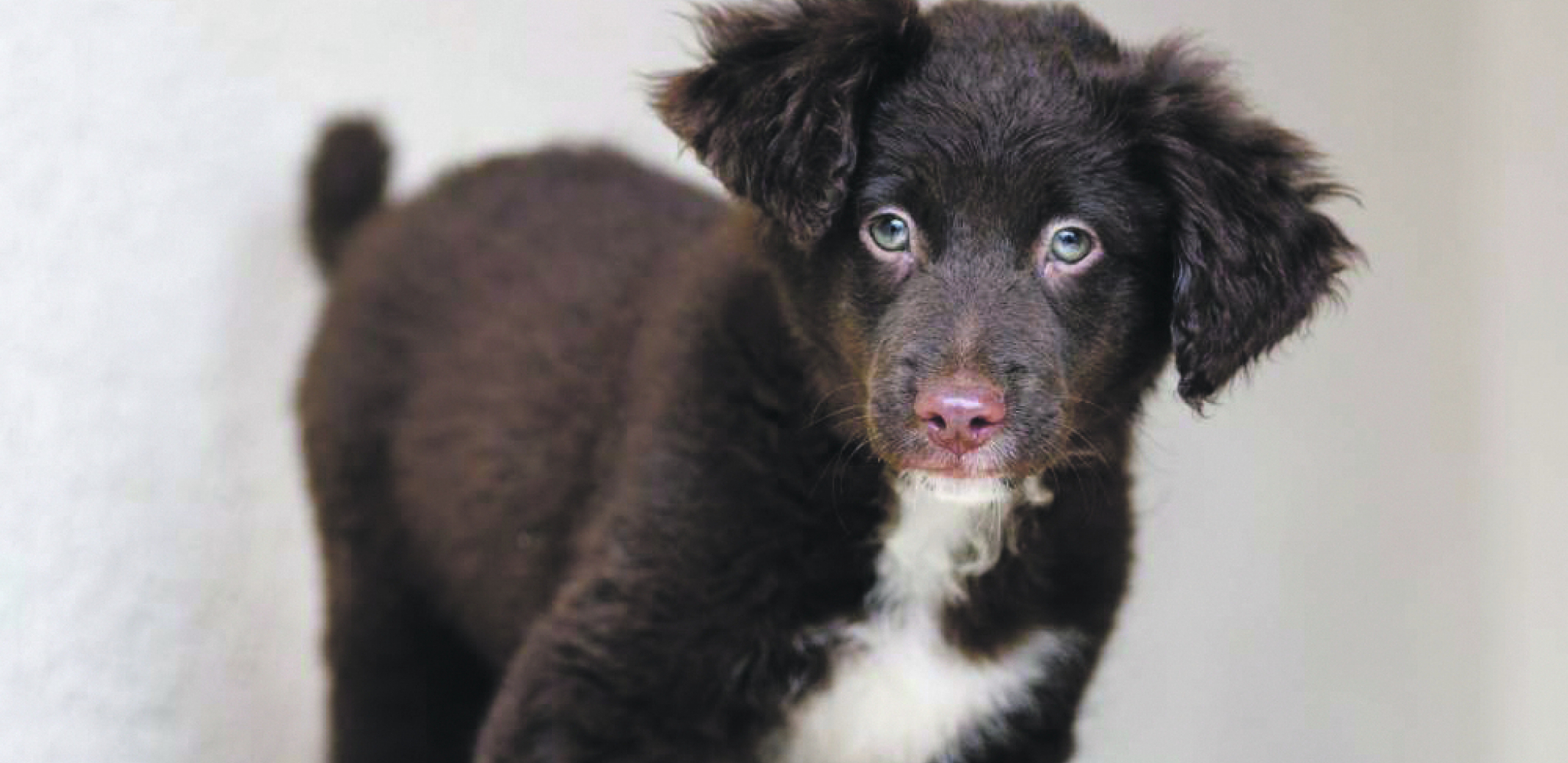 UDOMI ME Razdragana Poli