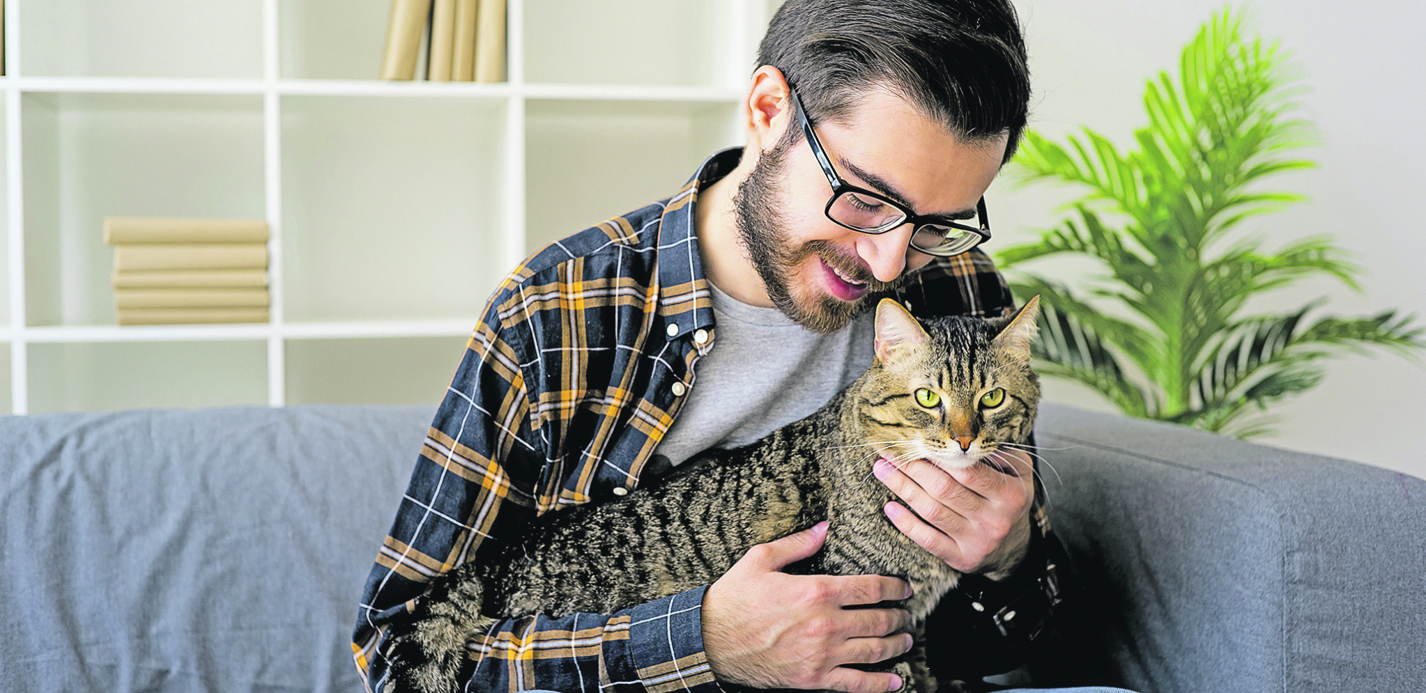 DA LI STE ZNALI Zašto mačke imaju 9 života?