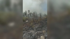 PRVI SNIMCI KATASTROFALNOG POŽARA U PRIBOJU Vatrena stihija preti da zahvati kuće, vatrogasci na licu mesta (FOTO/VIDEO)