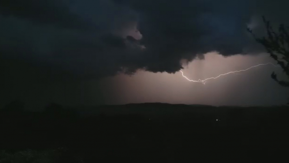 SABLASNA SCENA U NOVOM SADU Snažno nevreme počupalo drveće (FOTO)