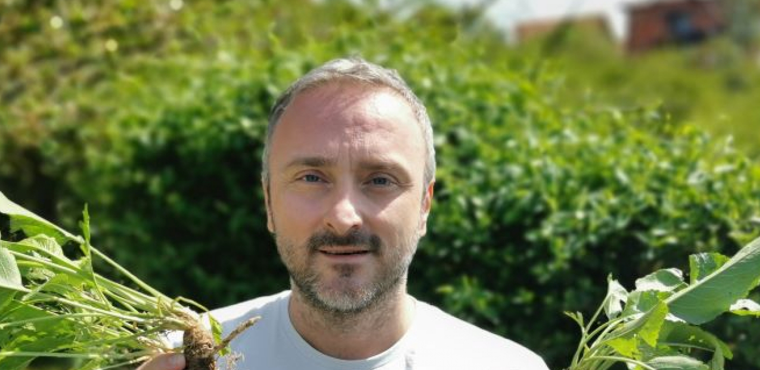 BILJKA KOJA RASTE SVUDA OKO NAS JE PRAVO BLAGO Čisti krvne sudove i pluća, a travar Momčilo otkriva kako se pravilno koristi