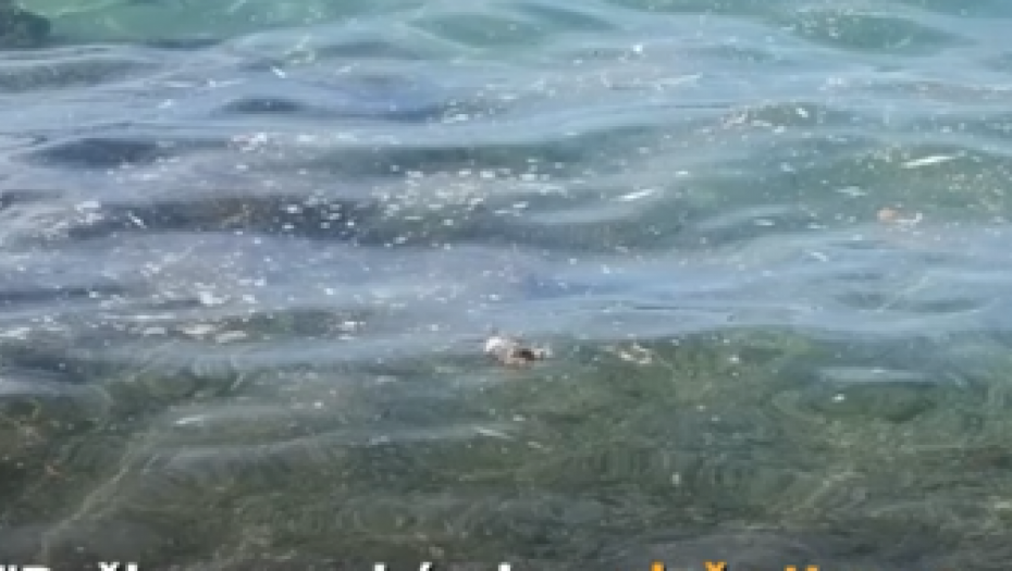 FUJ! PRIZOR ŠOKIRAO KUPAČE U HRVATSKOJ Evo šta je snimljeno da pluta u moru (VIDEO)