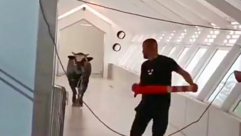 ODBEGLI BIK UTRČAO U BANKU Panika nastala na ulicama u gradu (FOTO,VIDEO)