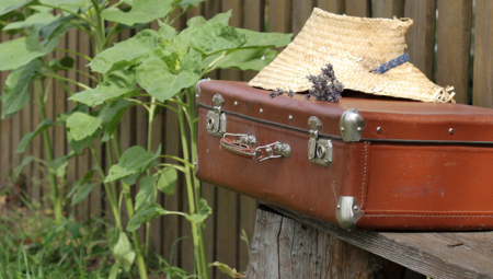 KUPILA POLOVNI KOFER ZA MANJE OD STO EVRA Nije ni slutila kakvo se skupoceno blago nalazi unutra! (VIDEO)