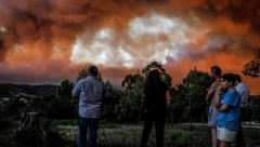 OPŠTA MOBILIZACIJA VATROGASACA Vatra guta šume, treći toplotni talas spržio zemlju!