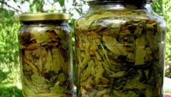 OGADIĆE VAM CIGARETE Ruska doktorka tvrdi da ovaj čaj BROJ 1  za odvikavanje od pušenja