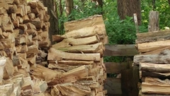 ZAGONETKA ZALUDELA SVET Ako pronađete mačku, a ne izgubite živce, vi ste pravi genije