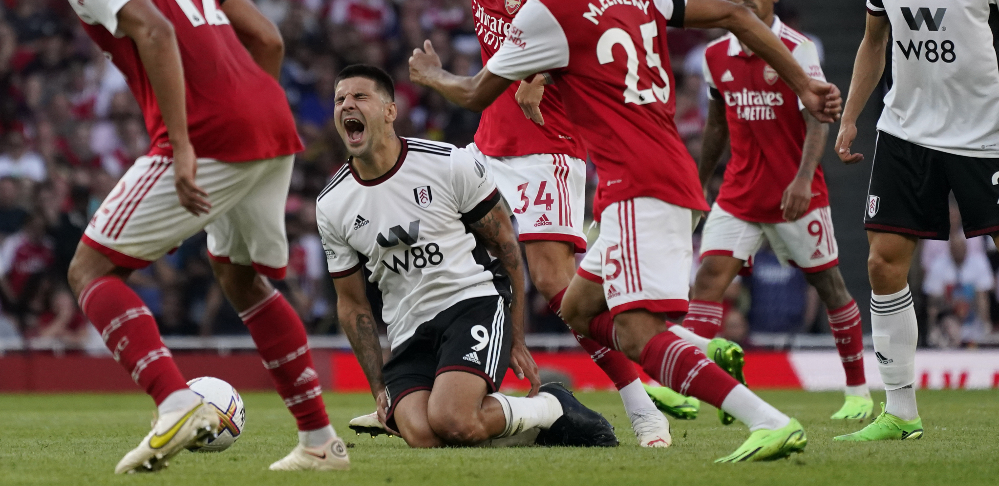 EVO RUKA SUDIJA, ISPRAVNA ODLUKA Mitrović priznao grešku i naravno da mu se prašta, jer je na svojim leđima nosio čitav tim