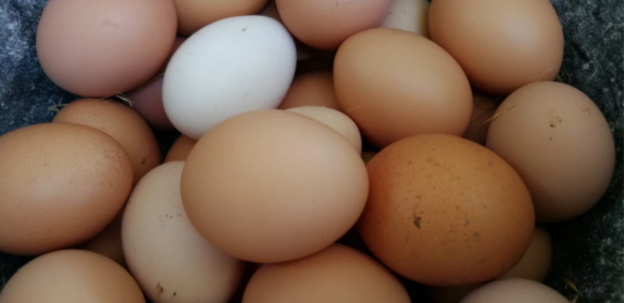 ČUVATE JAJA U OVOM DELU FRIŽIDERA Odmah prestanite, a evo i zašto