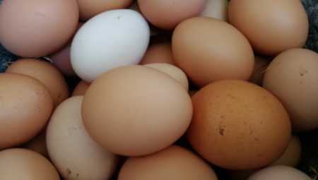 OVO JAJE NA PIJACI U SRBIJI KOŠTA 250 DINARA! "Rat u komentarima: Ćuti, dobro da nije 500"