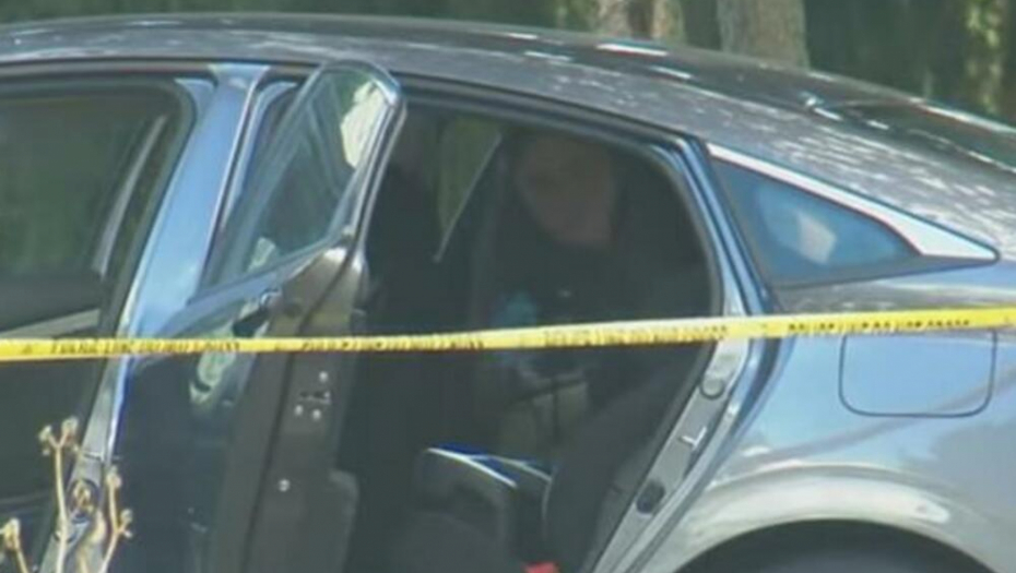 "VRIŠTALI SU OD BOLA" Roditelji se posle sedam sati vratili do kola, a onda su videli šta su uradili!