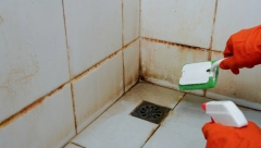 ANIN TRIK ŽENE MASOVNO DELE Pojavila joj se odvratna buđ u tuš kabini, a ona je uništila preko noći