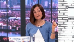 EVO ZAŠTO ZAGREBU SMETA OTVORENI BALKAN! Smajlović: Ni ja se ne bih radovala da sam na mestu Hrvatske!