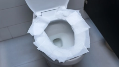 STAVLJATE PAPIR NA ŠOLJU KADA IDETE U WC NA POSLU ILI KAFIĆU? Lekari kažu da ste u opasnosti, OVA INFEKCIJA vam ne gine