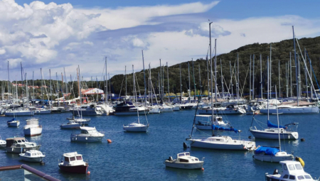 PANIKA NA PRIMORJU! Ogromna životinja snimljena u Jadranskom moru! (VIDEO)