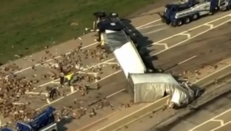 SNIMAK ZAPALIO DRUŠTVENE MREŽE! Vibratori napravili haos na međunarodnom autoputu! (VIDEO)