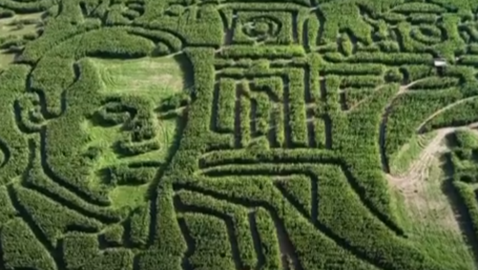 BONDOV LAVIRINT U AMERICI Zamršen splet hodnika u kukuruzu posvećen tajnom agentu 007 (VIDEO)