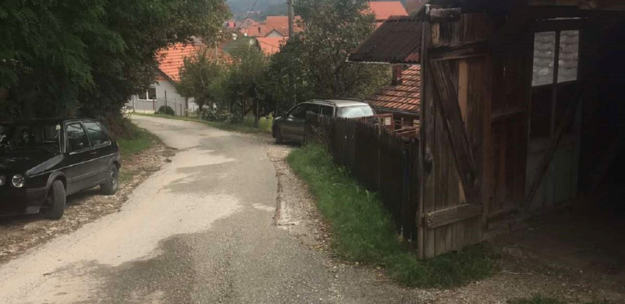 OČI U OČI SA OPASNOM ZVERI Medved napao mladića u Bajinoj Bašti