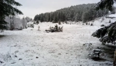 POGLEDAJTE PRVI SNEG U SRBIJI Sve se zabelelo u ovom delu zemlje, a za dva sata - nove padavine!