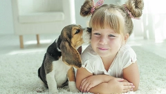 LJUBIMAC NIJE LUTKA Rešite svoje nedoumice oko nabavke životinje za dete