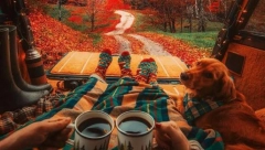 HOROSKOP ZA NEDELJU, 15. SEPTEMBAR Biku trzavice u vezi, Lav odlaže putovanje, Vodoliji virusna infekcija