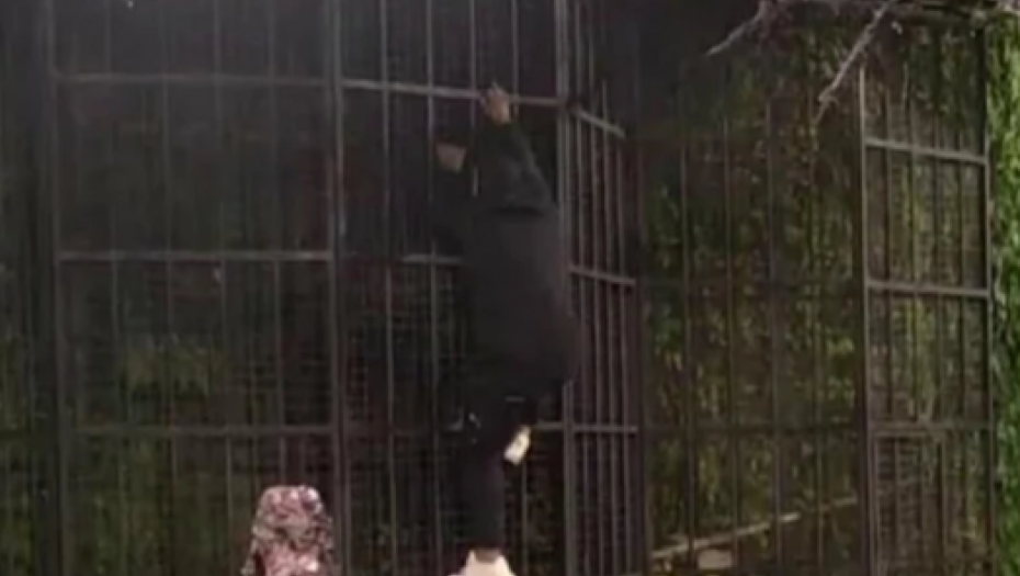 ROBERT MITROVIĆ BEŽI IZ ZADRUGE! Otkriveno i zbog čega