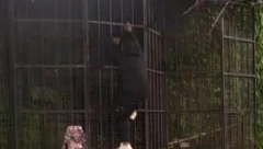 ROBERT MITROVIĆ BEŽI IZ ZADRUGE! Otkriveno i zbog čega