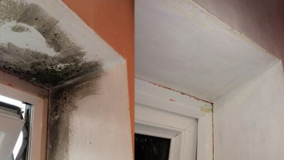 IZAZIVA ASTMU, BRONHITIS, TUBERKOLOZU Poprskajte zid ovim uljem i više nikada nećete videti buđ u vašem domu