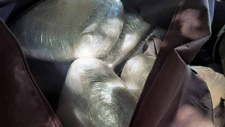 SASLUŠANI ALBANCI KOJI SU U ZEMUNU UHVAĆENI SA DROGOM Krili marihuanu u kamionu, a evo kako su se branili u tužilaštvu!