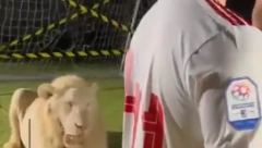 LUDA STRANA FUDBALA Došao u novi klub, a onda ga na predstavljanju prestravio lav (VIDEO)