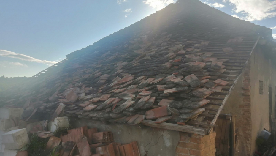 PIJAVICA NOSILA BETONSKE STUBOVE! Meštani ovog dela Srbije proživeli apokalipsu, višegodišnja stabla počupana! (FOTO)