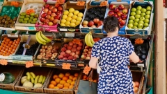 SUTRA KREĆE AKCIJA „NAJBOLJA CENA“ Snižene cene za 700 proizvoda!