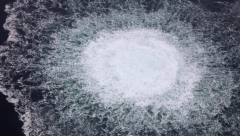 "BERLINU JE POTPUNO JASNO DA SU SAVEZNICI IZVRŠILI SABOTAŽU SEVERNOG TOKA" Nemački poslanik potvrdio da istraga nije transparentna