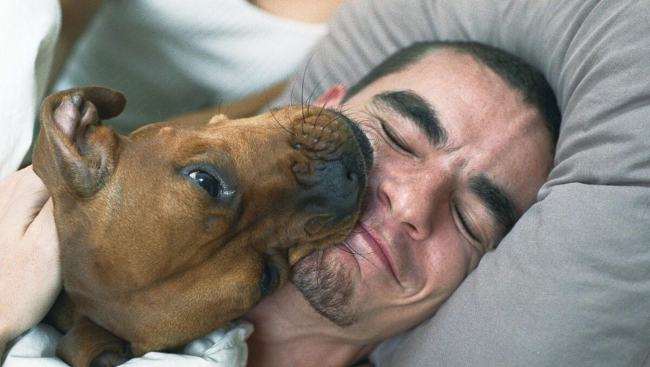 VIDEO ONO ŠTO LEKARI NISU MOGLI Pas ga lizao stalno na istom mestu, to mu spasili život